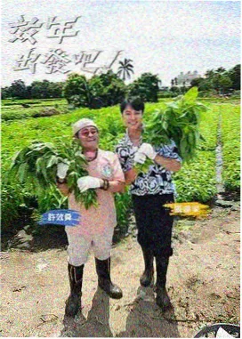 夏夜祭典协奏曲 动画剧照